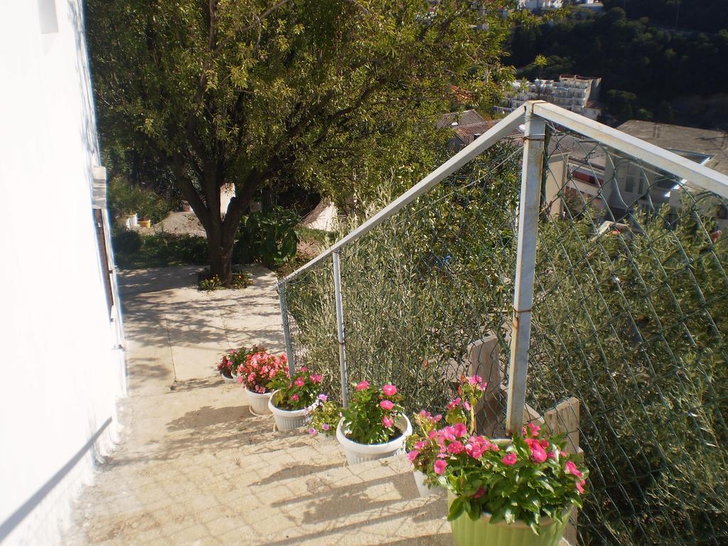 Apartment Vuk I Novak أولتْسي المظهر الخارجي الصورة